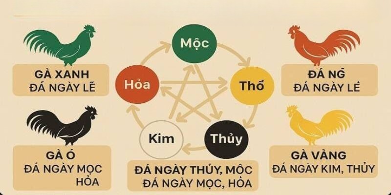 5 màu đá gà tiền lớn theo mệnh ngũ hành