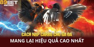 Cách Nạp Carbo Cho Đá Gà Mang Lại Hiệu Quả Cao Nhất