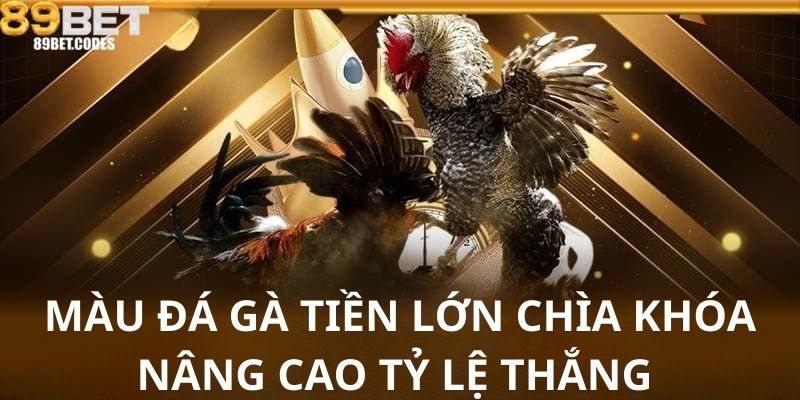 Màu Đá Gà Tiền Lớn – Chìa Khóa Nâng Cao Tỷ Lệ Thắng