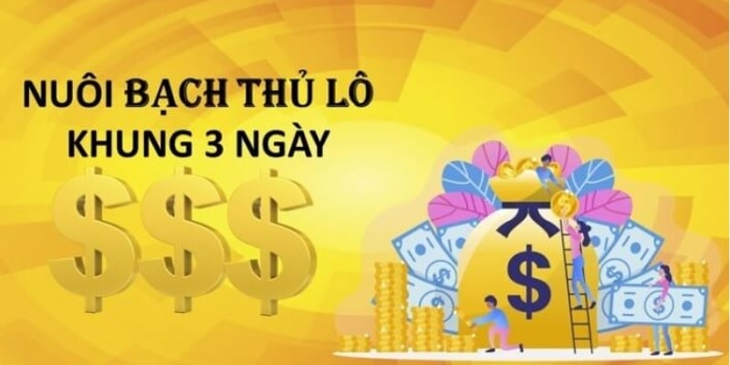Mẹo nuôi bạch thủ lô khung 3 ngày dễ trúng.