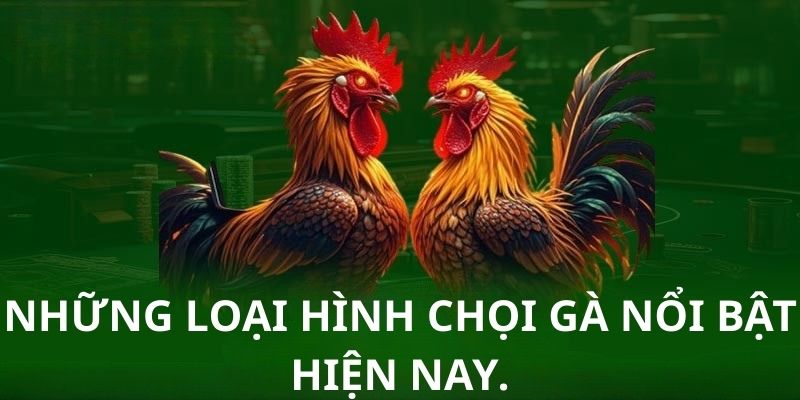 Những loại hình chọi gà nổi bật hiện nay.