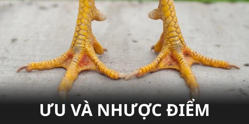 Ưu và nhược điểm của gà có vảy kích biên