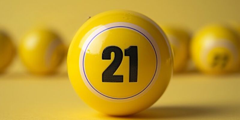 Vì sao bạch thủ lô khung 3 ngày được yêu thích?